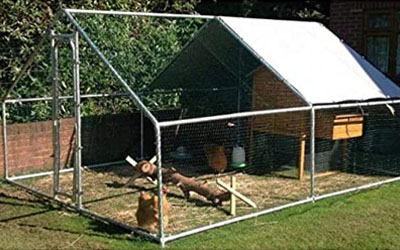 Comparatif poullaillers 6 poules