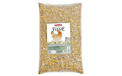 Alimentation pour poules