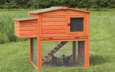 Comparatif poullaillers 2 poules