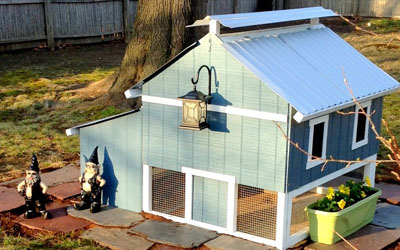 Comparatif poullaillers 6 poules